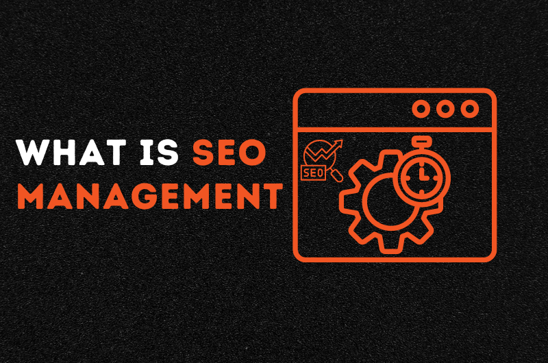 what is SEO Management